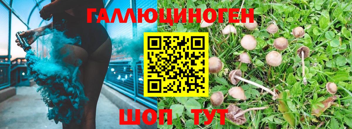Галлюциногенные грибы Cubensis Туймазы