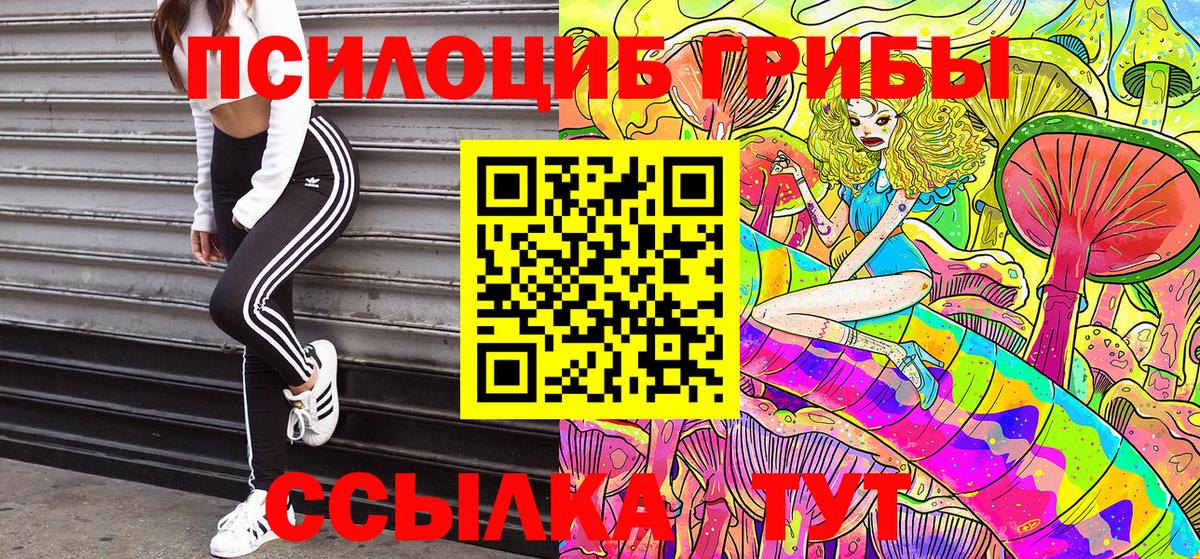 Псилоцибиновые грибы Magic Shrooms  закладки  Туймазы  Вход с VPN 